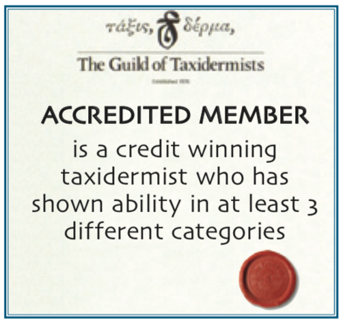 Accredited Member certificate